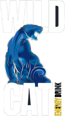 Wildcat Energy
