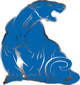 Wildcat Energy